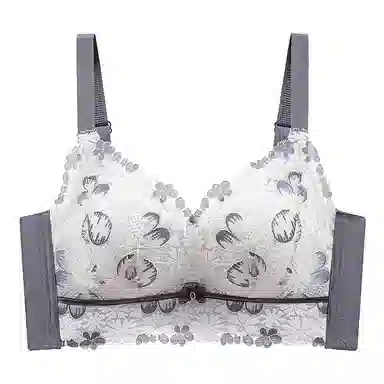 芬腾 调整型聚拢小胸上托收副乳无钢圈防下垂文胸 女款