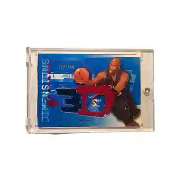 UPPER DECK 2004UD 3D Jersey 499