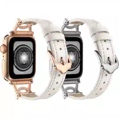 Akkerds Apple Watch CD