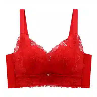 芬腾 调整型聚拢小胸上托收副乳无钢圈防下垂文胸 女款