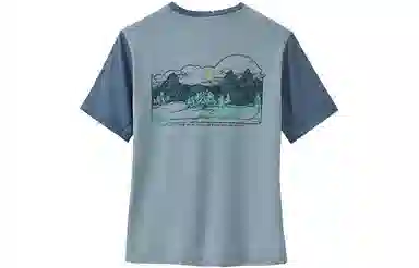 patagonia T