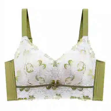 芬腾 调整型聚拢小胸上托收副乳无钢圈防下垂文胸 女款