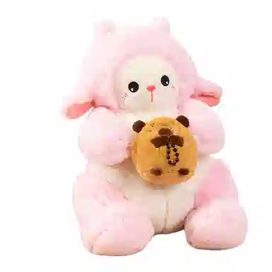42cm60cm