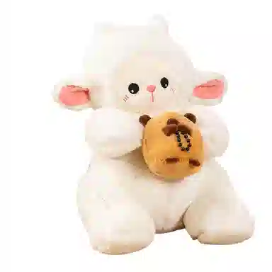42cm60cm