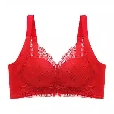 芬腾 调整型全罩杯聚拢上托收副乳无钢圈防下垂舒适蕾丝文胸 女款