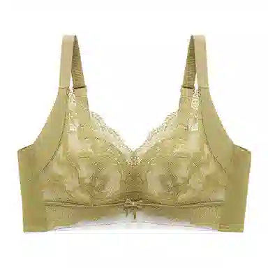 芬腾 调整型全罩杯聚拢上托收副乳无钢圈防下垂舒适蕾丝文胸 女款