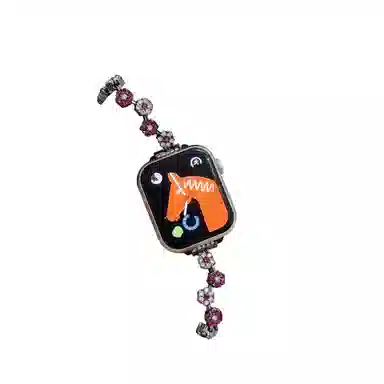 Akkerds Apple Watch