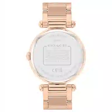COACH CARY C 14504266