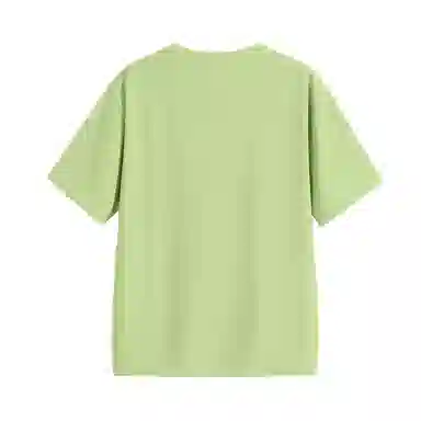 HIPANDA T
