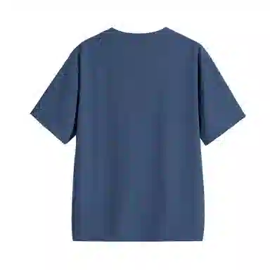 HIPANDA T