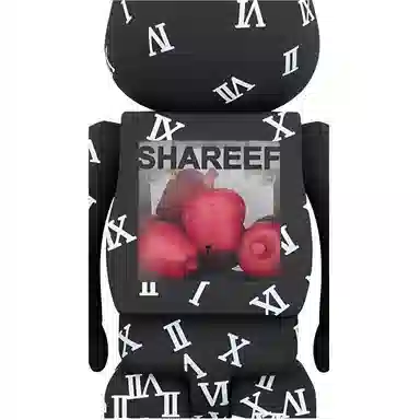 BERBRICK Shareef 100400