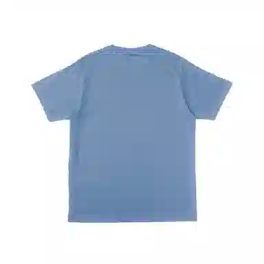 dickies logoT