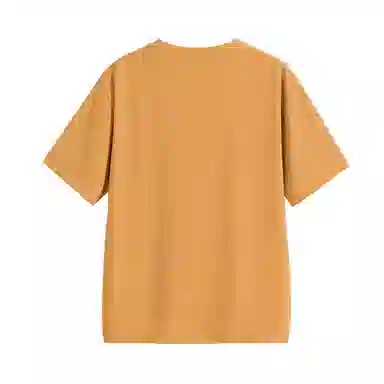 HIPANDA T