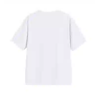 HIPANDA T