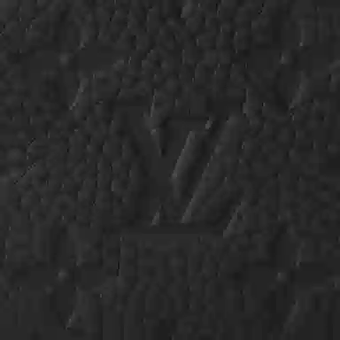 LOUIS VUITTON Multiple Taurillon