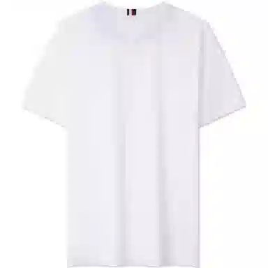 Tommy Hilfiger T