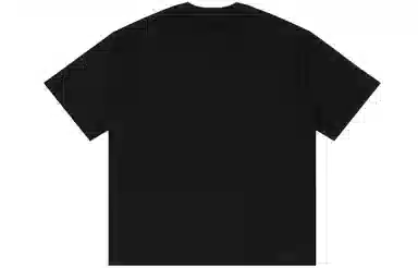 nomt x SRME T