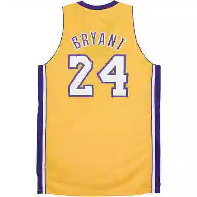 adidas NBA 10--11 SWingman