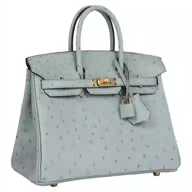HERMES Birkin 25 NK 8U Bleu Glacier