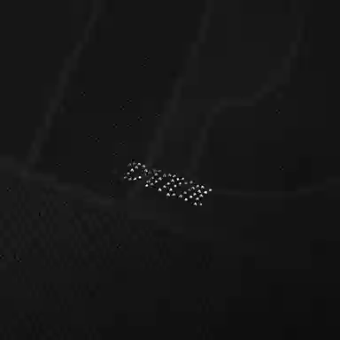 DAVID NAMAN SS24 LogoT