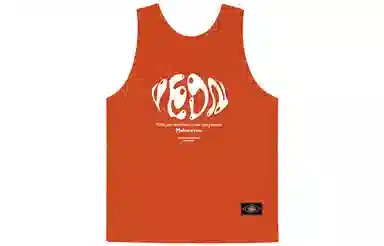 VEIDOORN T