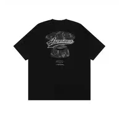 Aape T