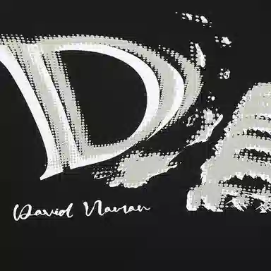 DAVID NAMAN LOGO SS24T
