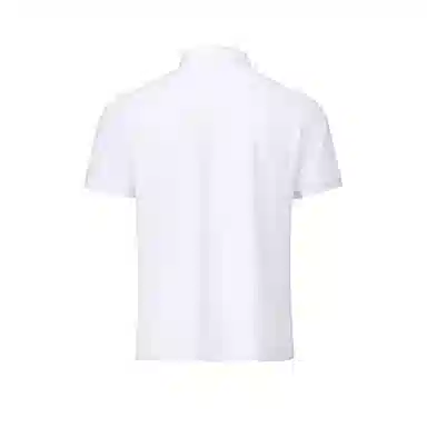 DESCENTE DUALIS POLO