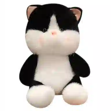 25cm35cm45cm