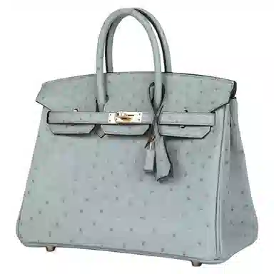 HERMES Birkin 25 NK 8U Bleu Glacier
