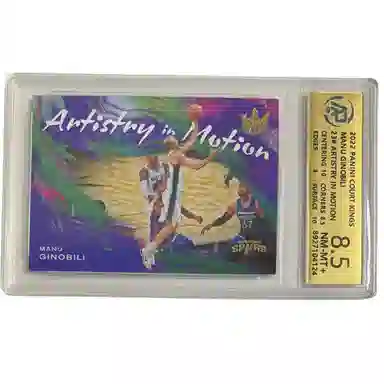 PANINI 2021-22 RPA 8.5