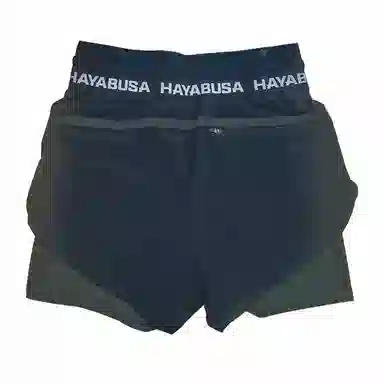HAYABUSA
