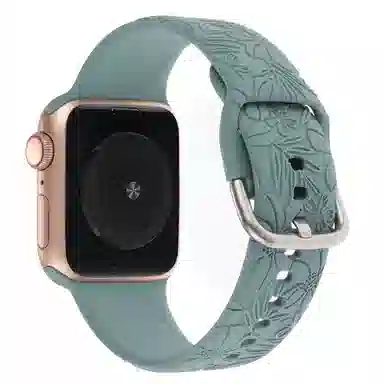 Akkerds Apple watch