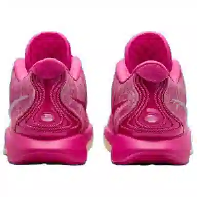 Nike Lebron 21 "Multicolor/Metallic Silver"