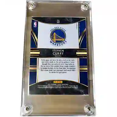 PANINI 2019-2020 select