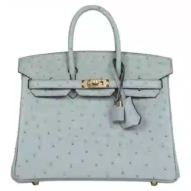 HERMES Birkin 25 NK 8U Bleu Glacier