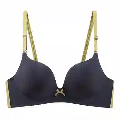 黛尔佳人 无痕聚拢小胸显大舒适文胸 女款