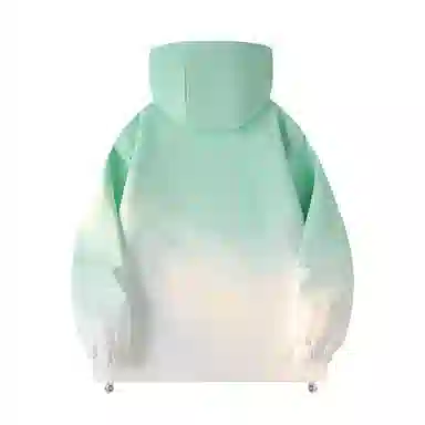 METE WHALE MT