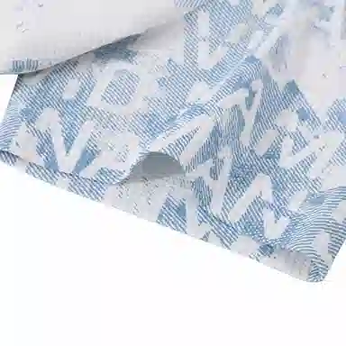 DAVID NAMAN SS24 LogoT