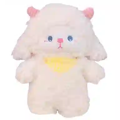 24cm