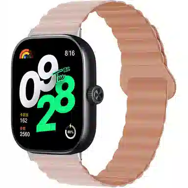 biaodaige VIVO watch GT vivowatchGT