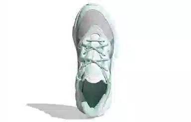 adidas originals Ozweego