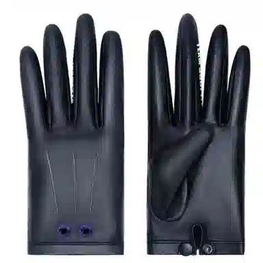 TEAM WANG design logo