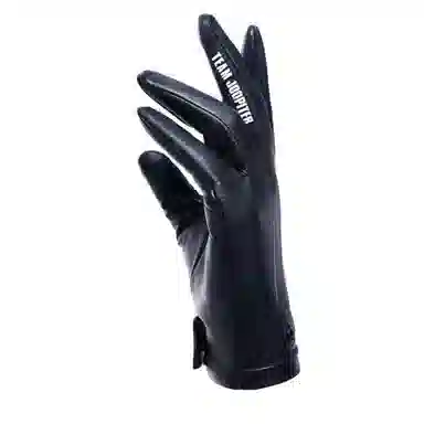 TEAM WANG design logo