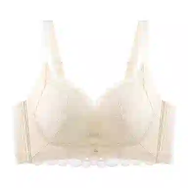 黛尔佳人 小胸聚拢薄款纯色文胸 女款