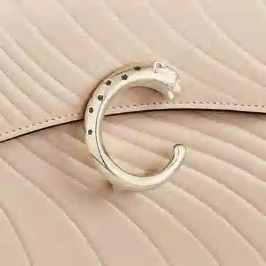 CARTIER Panthre de Cartier