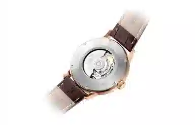 Sea-Gull 519.22.6008