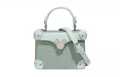 Disney PU
