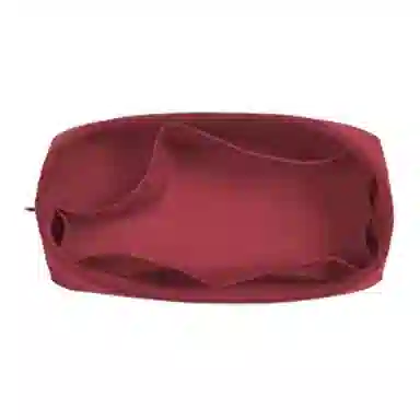 bagINBAG lvcarryall