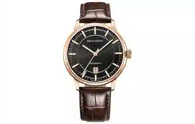 Sea-Gull 519.22.6008